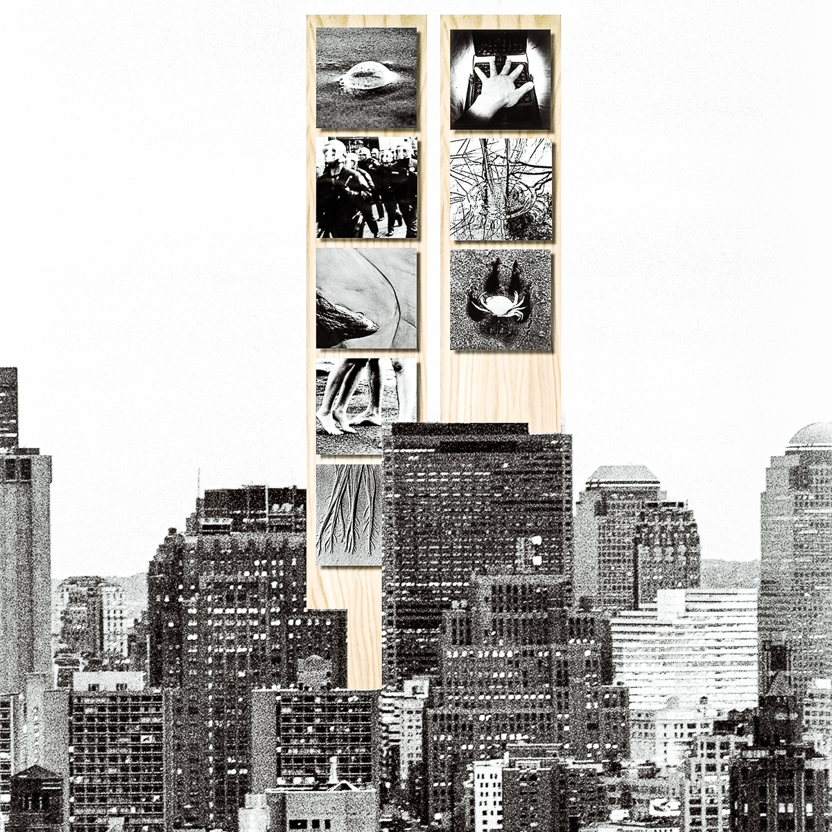  The cover image from a limited edition Visual Haiku porfolio. Visual Haiku as the North and South WTC towers, a few years before 9/11. 